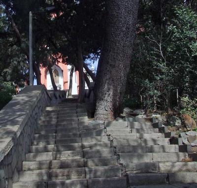 Прикрепленное изображение: DSCF6731.jpg